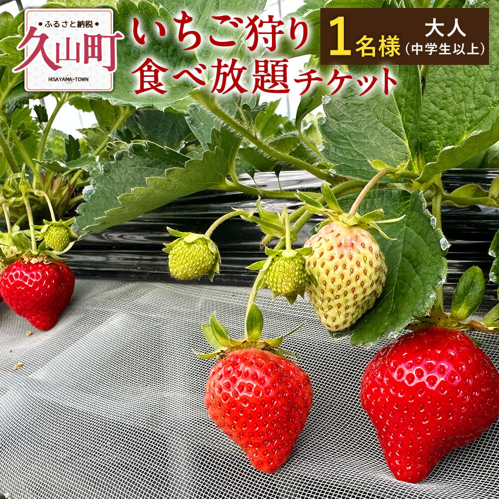 50位! 口コミ数「0件」評価「0」いちご狩り 食べ放題チケット 60分 大人(中学生以上) 【1名様】 苺 イチゴ 高設栽培 体験 フルーツ狩り 果物狩り 利用券 チケット ･･･ 