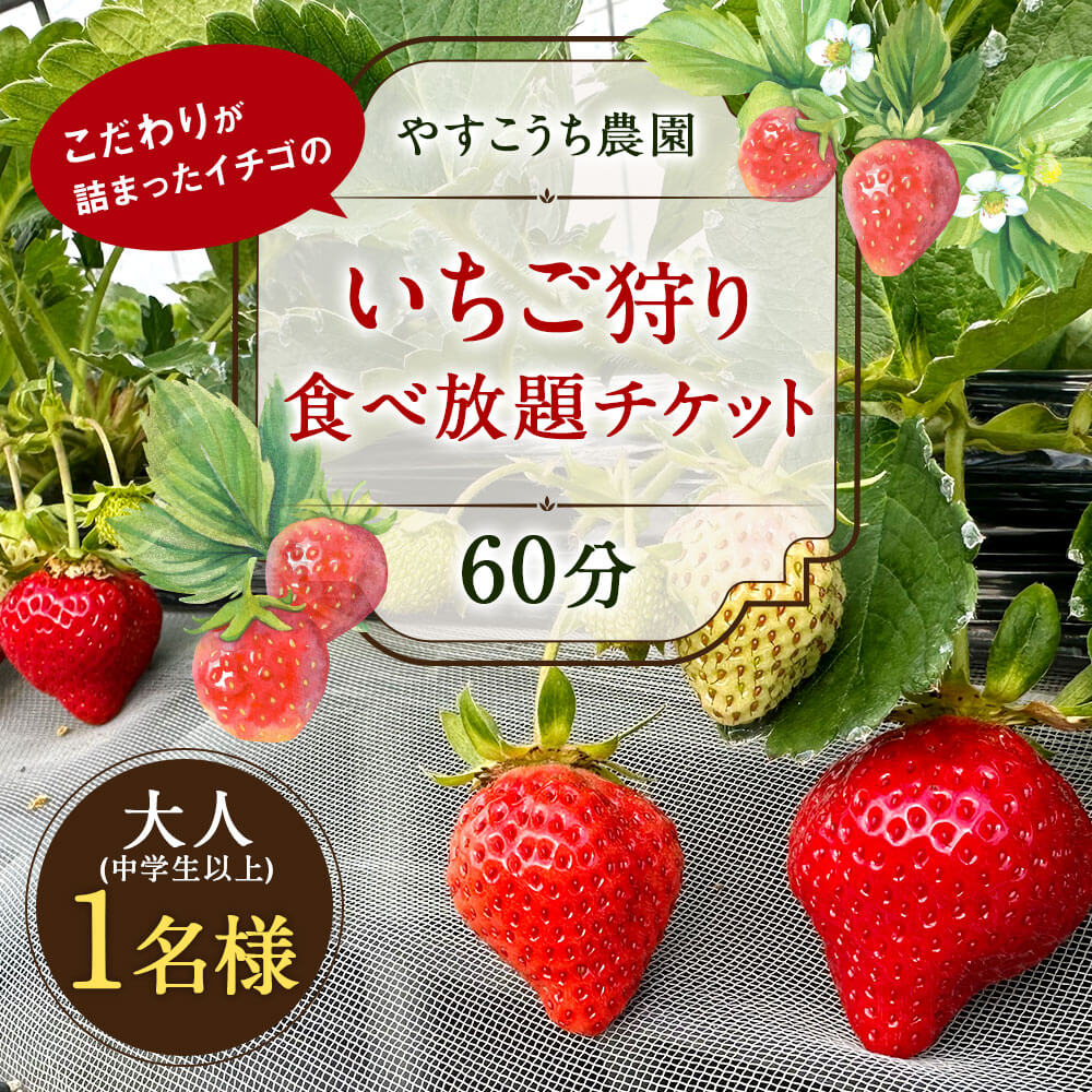 【ふるさと納税】いちご狩り 食べ放題チケット 60分 大人(中学生以上) 【1名様】 苺 イチゴ 高設栽培 体験 フルーツ狩り 果物狩り 利用券 チケット 九州 福岡 やすこうち農園 送料無料その2