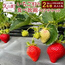 3位! 口コミ数「0件」評価「0」いちご狩り 食べ放題ペアチケット 60分 大人1名+3歳以上小学生未満1名 【2名様】 苺 イチゴ 高設栽培 体験 フルーツ狩り 果物狩り ･･･ 