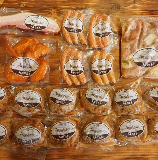 【ふるさと納税】うえすたんのまんぷくMセット 送料無料 ウインナー 国産 九州産焼き肉 BBQ AA013