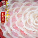 【ふるさと納税】とらふぐ薄造り 牡丹盛(5人前) 送料無料 ふぐ 刺身 人気 ランキング 食品 魚介 魚介類 お刺身 刺身 魚介 類 海鮮 ふぐ フグ 虎ふぐ ...
