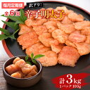 【ふるさと納税】【毎月定期便】大満足!訳あり辛子明太子 小切500g(100g×5パック)全6回 送料無料 博多 辛子明太子 名産品 お取り寄せ グルメ 魚卵 ...