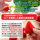 福岡県粕屋町の画像3