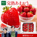 【ふるさと納税】 暖家のいちご 完熟あまおう 贈答用 4パック 送料無料 あまおう いちご 名産品 果物 1月上旬以降順次発送 AB002