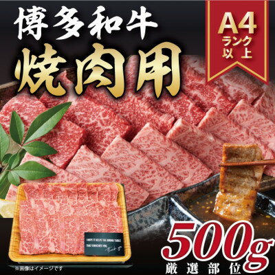 【A4～A5】博多和牛焼肉用　500g(芦屋町)【配送不可地域：離島】【1170445】