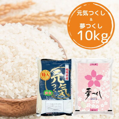 【令和5年産】福岡県産米食べ比べ＜白米＞「夢つくし」と「元気つくし」セット　計10kg芦屋町【1384965】