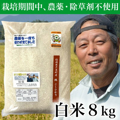 【令和5年産】コシヒカリ　農薬不使用(栽培期間中) 福岡県芦屋町産 白米8kg【1386244】