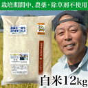 【ふるさと納税】【令和5年産】コシヒカリ　農薬不使用(栽培期