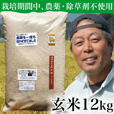 【令和5年産】玄米 農薬不使用(栽培期間中) 福岡県芦屋町産コシヒカリ 〈玄米〉12kg【1386264】