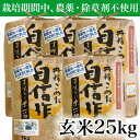 名称 【令和5年産】玄米 農薬不使用(栽培期間中) 福岡県芦屋町産コシヒカリ 〈玄米〉25kg 精米時期 「別途商品ラベルに記載」 発送時期 お申込みから1週間程度でお届け 提供元 朝ごはん本舗 配達外のエリア なし お礼品の特徴 種子消毒をせず、育苗から本田、稲刈りまで、栽培期間中は除草剤・殺菌剤・殺虫剤といった農薬を使わずに育てたこだわりのコシヒカリです。 もともとは子供たちにおいしいお米を食べさせたいとの思いで取り組んだのがきっかけです。 稲の天敵であるジャンボタニシを逆利用し、自然の力を利用して大切に育てたお米です。生命力あふれるお米の味をご堪能ください。 ■生産者の声 栽培期間中に農薬を使わないと稲が病気にやられる、他の田んぼに被害がでる、などの反対意見もありましたが、農薬を使わないでおいしいお米ができるならば、それにこしたことはありません。 栽培期間中に農薬を使わないことは試行錯誤の連続でしたが、ジャンボタニシが雑草を食べてくれるおかげで農薬も除草剤も一切使わずお米ができるようになり、平成2年から完全に農薬を使わず栽培したお米に移行しました。 ■お礼品の内容について ・コシヒカリ(玄米)[25kg(5kg×5袋)] 　　原産地:福岡県芦屋町 　　賞味期限:発送日から1年 ■注意事項/その他 ※画像はイメージです。 ※お米は開封・未開封に関わらず、精米時期から1か月程度を目安にお召し上がりください。 長期保存をするときは、2～3合ずつチャック式の密閉容器や真空パックなどに入れ替えて冷蔵庫での保存をおすすめします。 ・ふるさと納税よくある質問はこちら ・寄附申込みのキャンセル、返礼品の変更・返品はできません。あらかじめご了承ください。