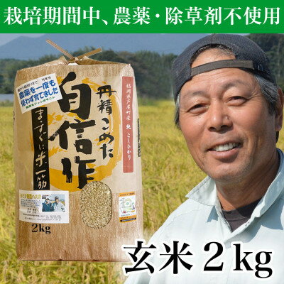 [令和5年産]玄米 農薬不使用(栽培期間中) 福岡県芦屋町産コシヒカリ [玄米]2kg