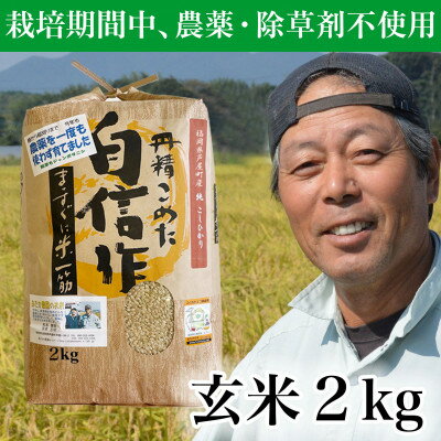 【ふるさと納税】【令和5年産】玄米 農薬不使用(栽培期間中) 福岡県芦屋町産コシヒカリ 〈玄米〉2kg【1389003】