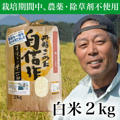 [令和5年産]コシヒカリ 農薬不使用(栽培期間中) 福岡県芦屋町産 [白米]2kg 