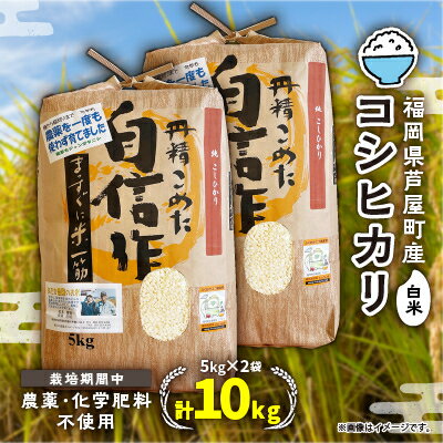 【令和5年産】コシヒカリ　農薬不使用(栽培期間中) 福岡県芦屋町産 ＜白米＞10kg【1389644】