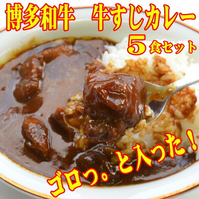 博多和牛 牛すじカレー5食セット じっくり煮込んだバリうま!ゴロッと入ったコラーゲン♪(芦屋町)