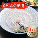 フグ刺し 【ふるさと納税】とらふぐ刺身4人前　芦屋老舗鮮魚店「魚力水産」謹製　菊盛り一尺大皿(30cm)【配送不可地域：離島】【1098557】