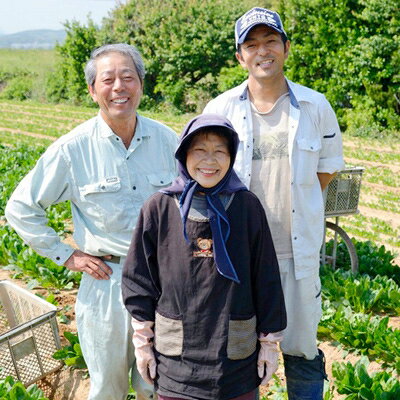 【ふるさと納税】福岡県芦屋町特産　赤しそ1kg(4束入)【1112053】