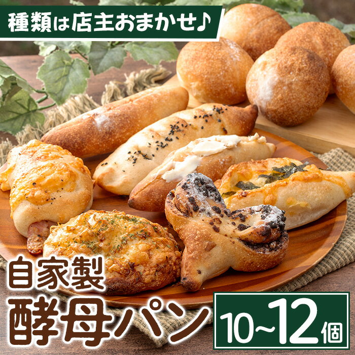 【ふるさと納税】≪数量限定≫自家製酵母パンセット(10～12個) パン ぱん 酵母パン 朝食パン 菓子パン 総..