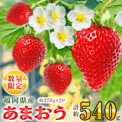 【ふるさと納税】【 数量限定 】 福岡県産 あまおう 約270g×2パック【2月以降順次発送】_ いちご 苺 イチゴ フルーツ 果物 【配送不可地域：離島】【1279012】