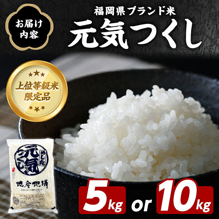 【ふるさと納税】＜内容量が選べる！＞福岡県ブランド米 元気つくし (5〜10kg) お米 米 コメ おこめ こめ げんきつくし 白米 ごはん ご飯 福岡県産 ブランド米 常温 常温保存 おにぎり おむすび お弁当 【農産物直売所ほたるの里】 f403814-ashiya-10000855 福岡県芦屋町 サンプル画像3
