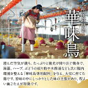 福岡県芦屋町の画像3