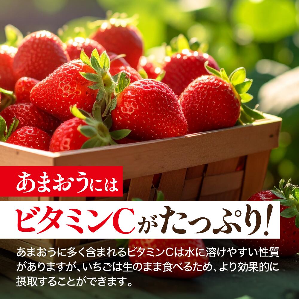 【ふるさと納税】＜数量限定！先行予約受付中！2026年1月上旬より順次発送予定＞福岡県産 あまおう (計約560g・約280g×2P) いちご イチゴ 苺 ストロベリー 果物 フルーツ おやつ デザート 福岡県 エコファーマー 冷蔵【ONE GO】