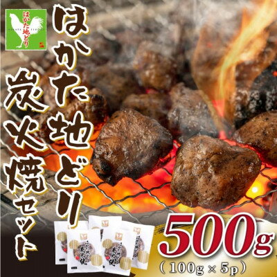 はかた地どり炭火焼セット500g(100g×5p)(水巻町)【配送不可地域：離島】【1444181】