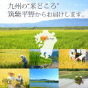 【ふるさと納税】福岡県産 元気つくし・夢つくしの食べ比べセット 5kg×各1袋 [白米](水巻町)【1445296】 2