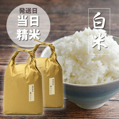 17位! 口コミ数「0件」評価「0」福岡県産「夢つくし」5kg×2袋 [10kg] [白米](水巻町)【1445302】