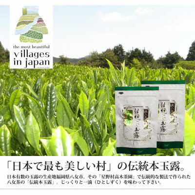 10位! 口コミ数「0件」評価「0」奥八女星野村　伝統本玉露[50g]×2袋(水巻町)【1445310】