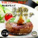 【ふるさと納税】おんどるハンバーグ(ソース無し)10個【配送不可地域:離島】【1580604】