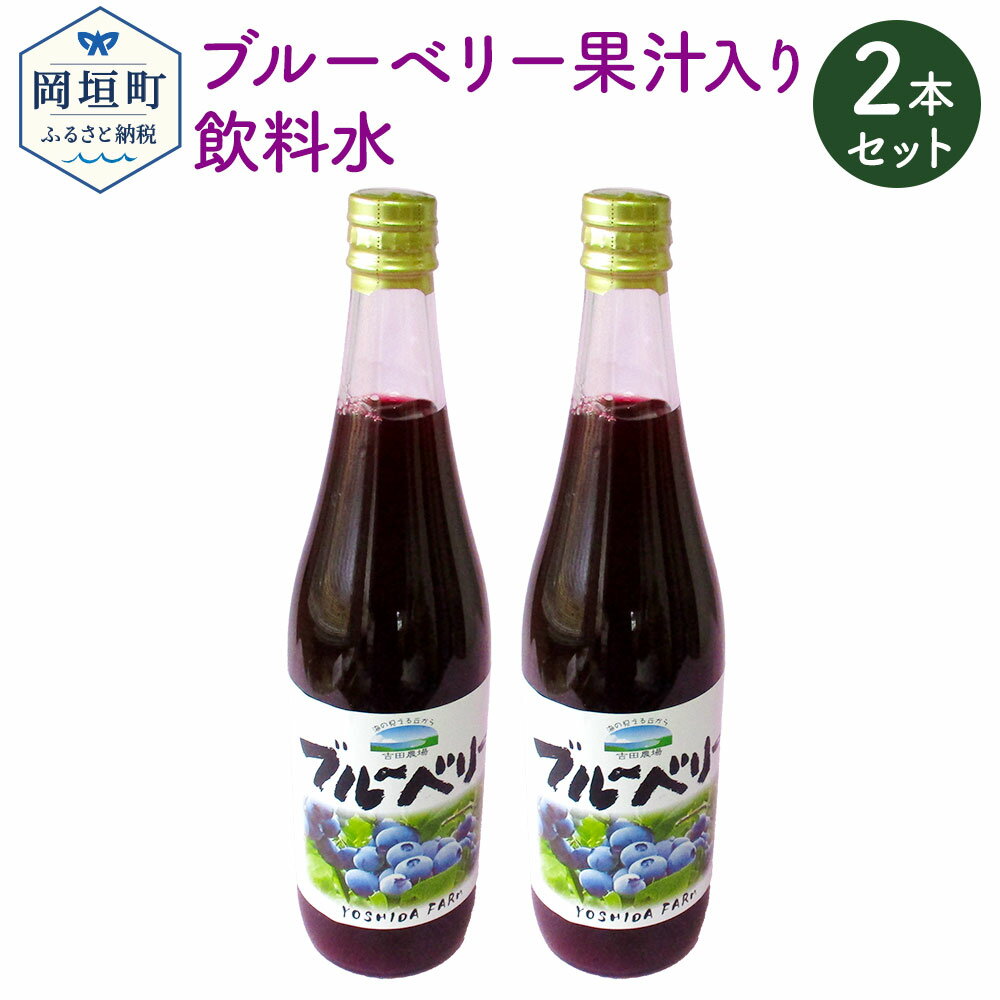 12位! 口コミ数「0件」評価「0」岡垣町産 ブルーベリー果汁入り 飲料水 2本 セット 合計1,440ml 720ml×2本 【2021年8月下旬から発送】 ブルーベリー 果･･･ 