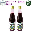 1位! 口コミ数「0件」評価「0」岡垣町産 ブルーベリー果汁入り 飲料水 2本 セット 合計1,440ml 720ml×2本 【2021年8月下旬から発送】 ブルーベリー 果･･･ 