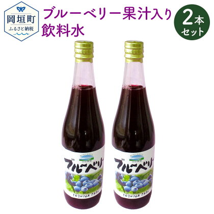 岡垣町産 ブルーベリー果汁入り 飲料水 2本 セット 合計1,440ml 720ml×2本 【2021年8月下旬から発送】 ブルーベリー 果汁 送料無料