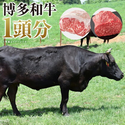 博多和牛 まるまる1頭 約350～450kg 丸ごと 選べる部位 お肉 和牛 冷凍 九州産 福岡県産 岡垣町 送料無料