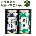 【ふるさと納税】八女星野茶 星乃 紫苑 (煎茶 100g×1本 深蒸し茶 100g×1本) 日本茶 緑茶 お茶 茶 茶葉 福岡県 岡垣町 送料無料