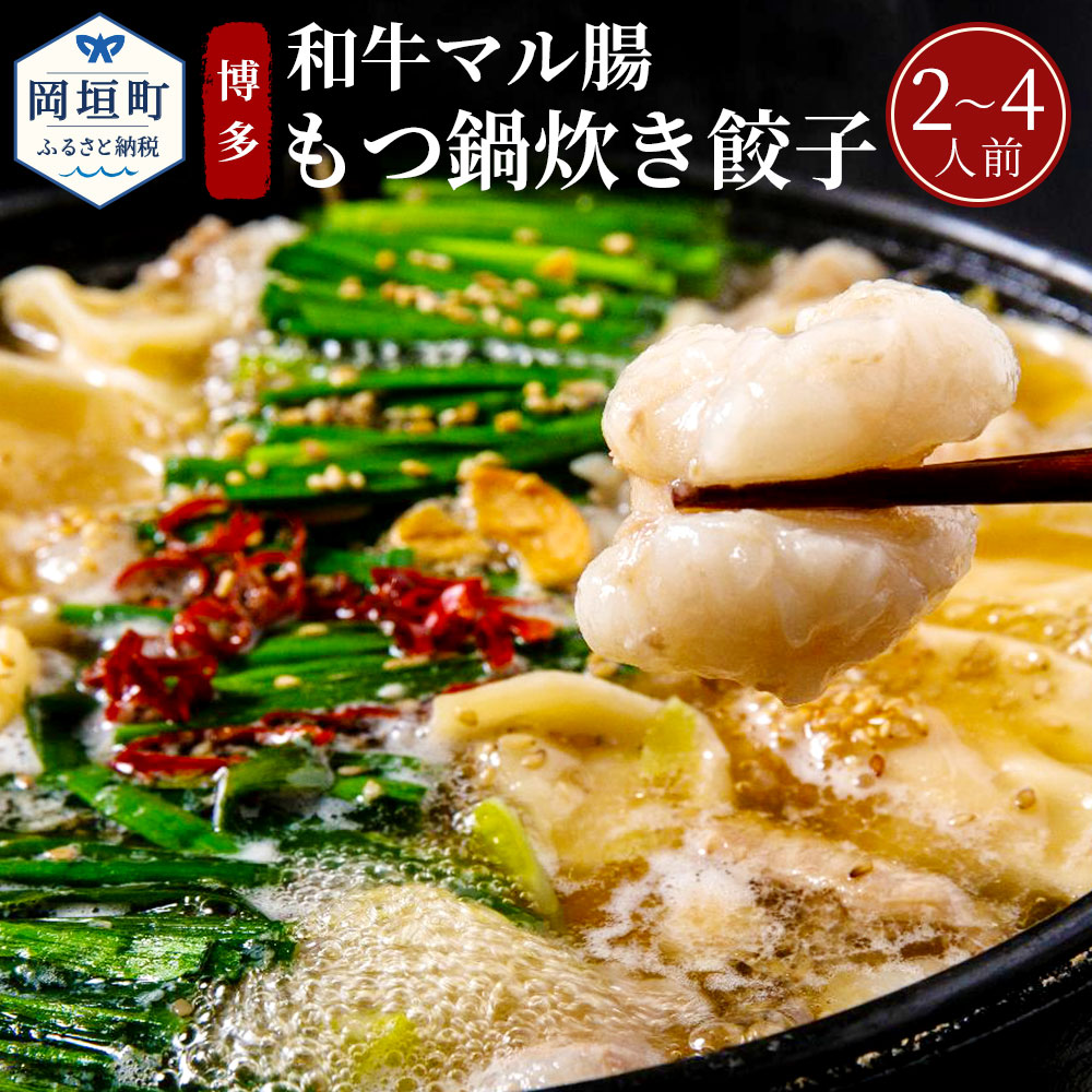 ぶどうの樹 お・も・て・な・し 九州産 和牛 マル腸 博多 もつ鍋 炊き 餃子 2〜4人前 ホルモン もつ 鍋 セット 水餃子 冷凍 送料無料