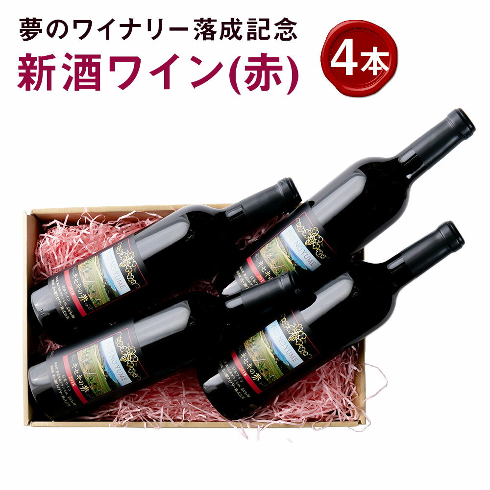 【ふるさと納税】新酒ワイン(赤)×4本 合計3L(750ml×4本) ワイン 赤 赤ワイン セット 家飲み お酒 アルコール 飲料 国産 九州産 福岡県産 夢のワイナリー落成記念♪ 送料無料