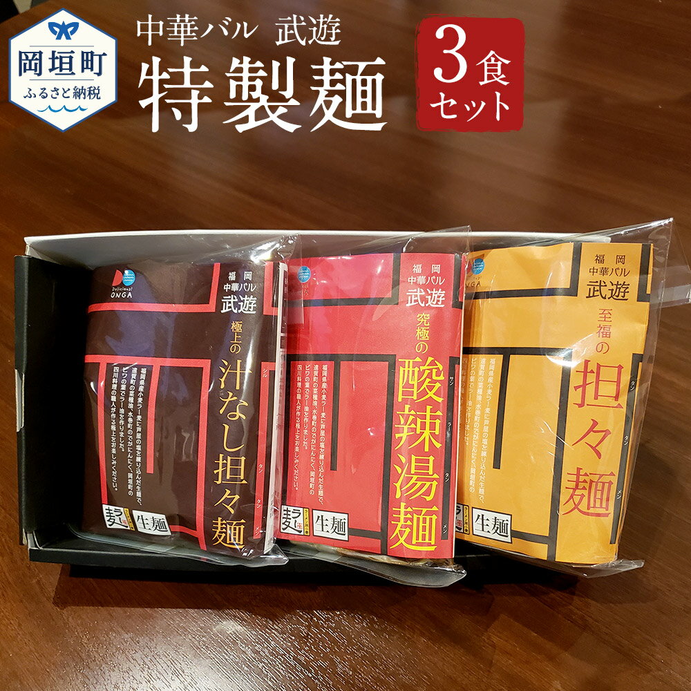 福岡県産ラー麦使用 中華バル 武遊 特製麺 3種3食セット 担々麺 汁なし担々麺 酸辣湯麺 麺とスープのセット ラーメン 麺 詰め合わせ 生麺 3種 3食 セット 送料無料