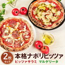 【ふるさと納税】本格ナポリピッツァ 2枚セット 2種(マルゲリータ・ピッツァサラミ) 直径27cm ピザ イタリアン ナポリピザ 冷凍ピザ モッツァレラチーズ ...