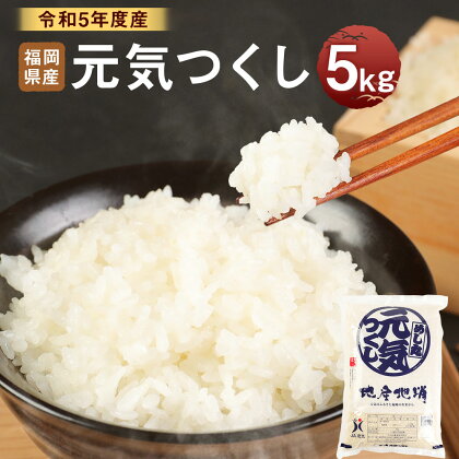 【令和年5度産】 福岡県産 元気つくし 5kg 米 お米 白米 おこめ 精米 単一原料米 福岡県 岡垣町 送料無料