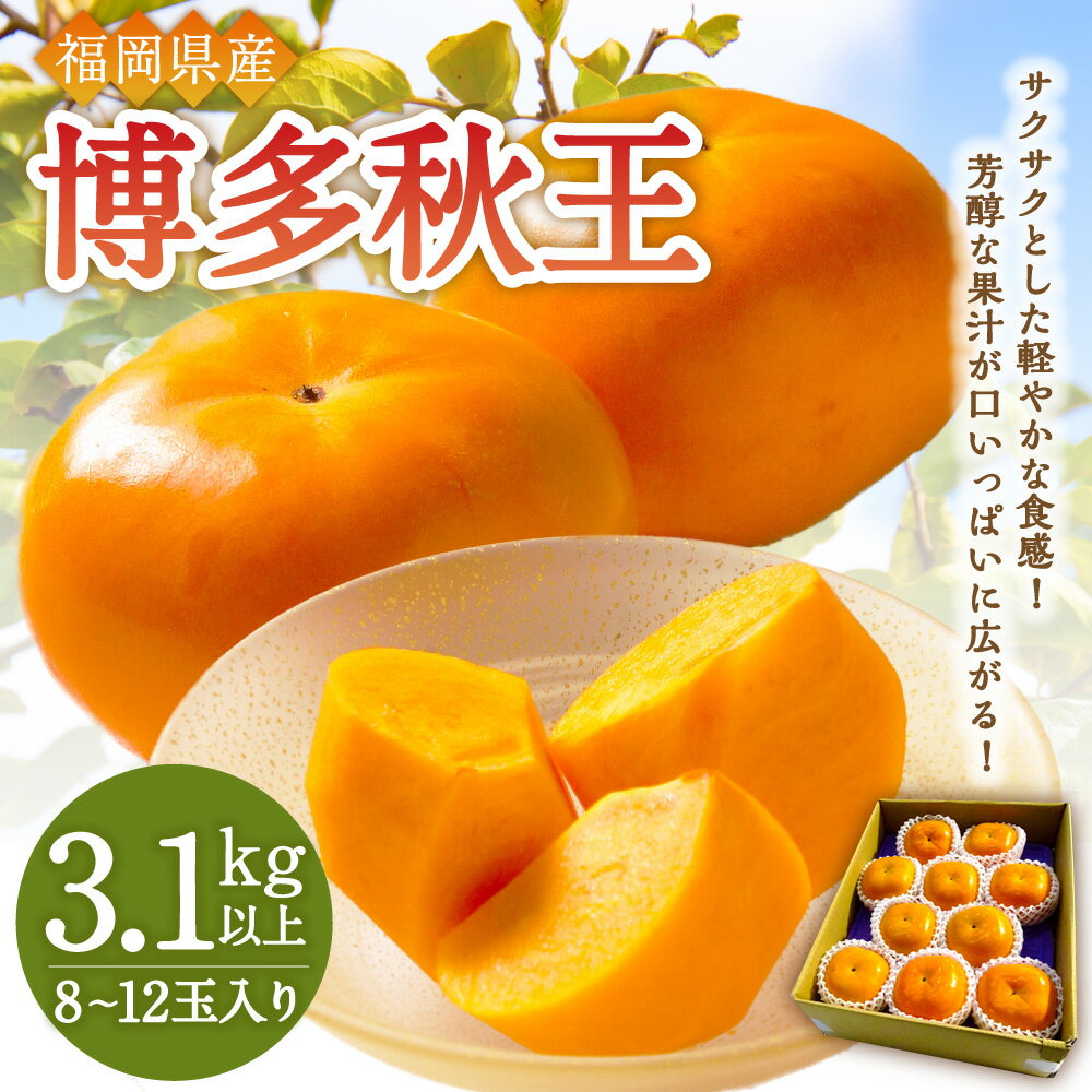 【ふるさと納税】【優等品】福岡県産 博多秋王 3.1kg以上 8玉～12玉入り 福岡県 岡垣町 柿 カキ フルーツ 果物 冷蔵 お取り寄せ 特産品 ご当地 先行予約 送料無料 【2025年10月上旬～11月下旬発送予定】