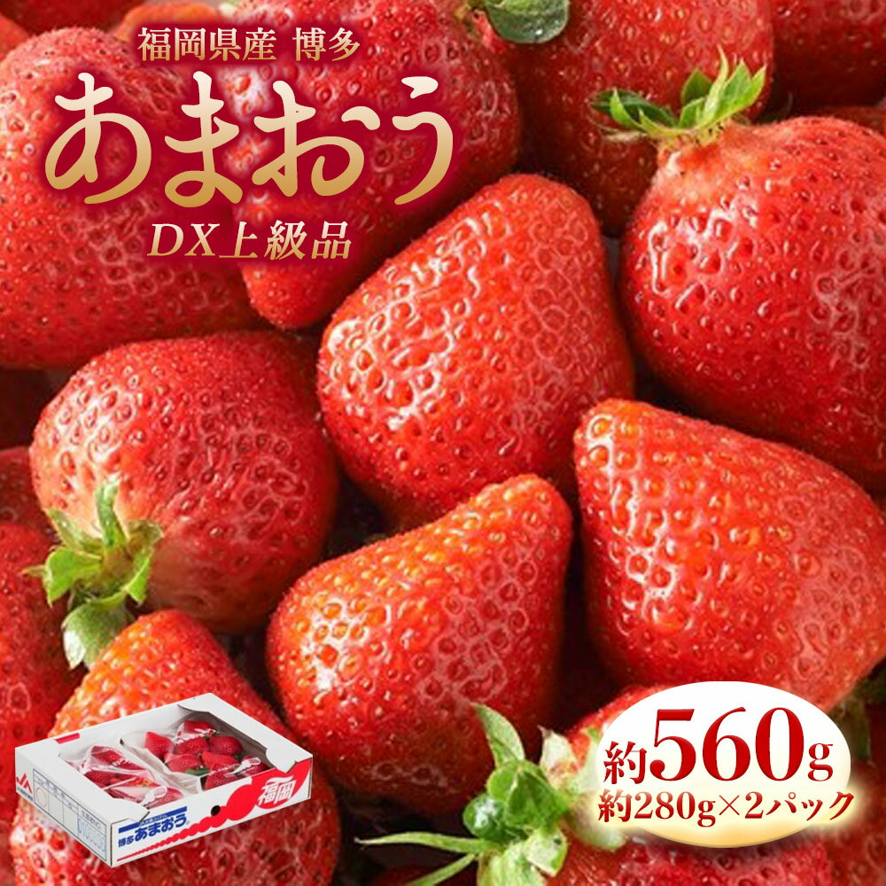 【ふるさと納税】先行予約 博多 あまおう 合計約560g 約280g×2パック入り DX上級品 いちご イチゴ 苺 ...