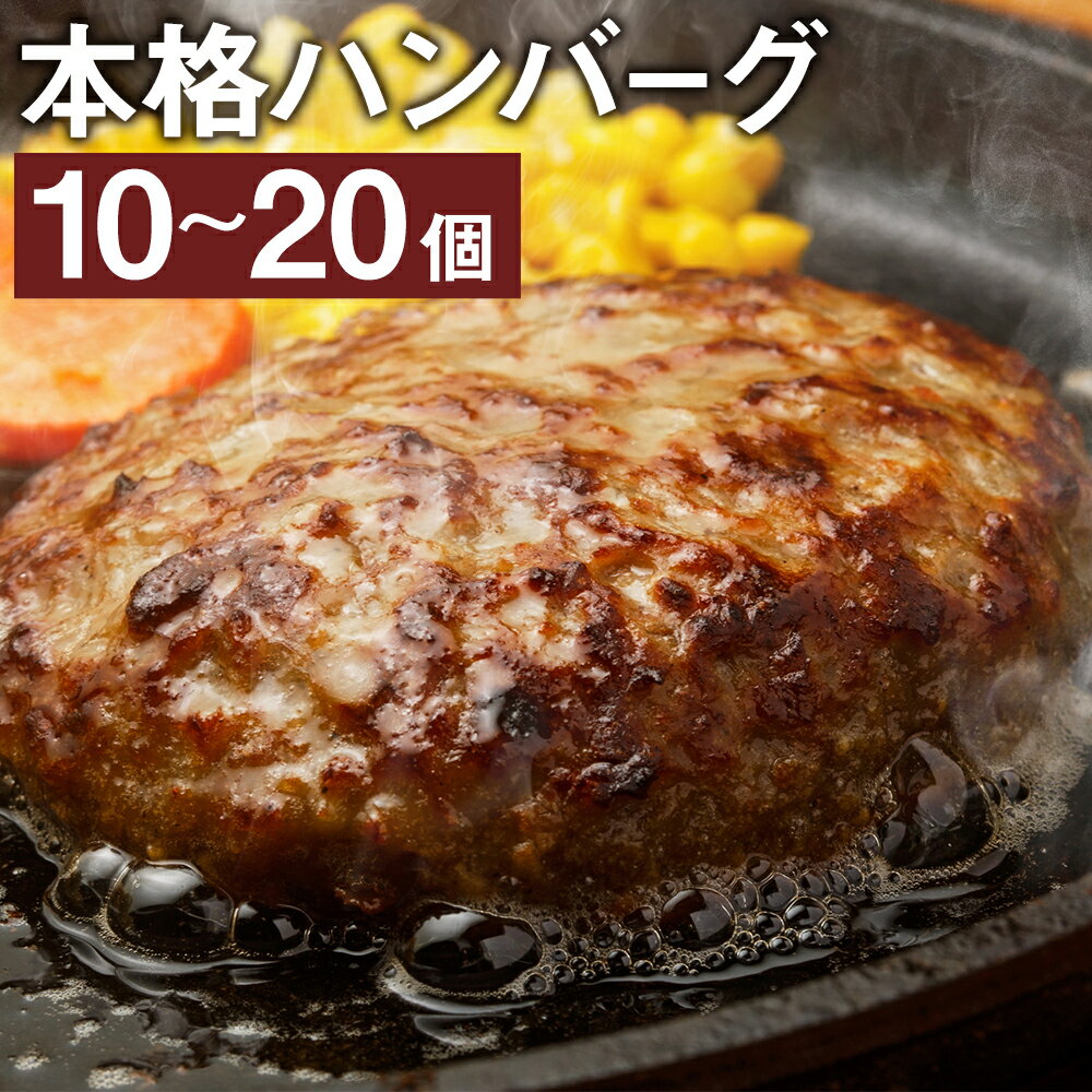 本格ハンバーグ ＜選べる＞ 10個・20個 1個あたり120g 合計1.2～2.4kg 特製ソース付 レンジ対応 湯煎 ハンバーグ 温めるだけ 個包装 小分け 惣菜 おかず 冷凍 福岡県 岡垣町 送料無料