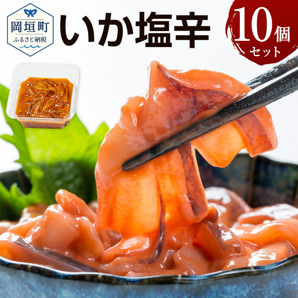 【ふるさと納税】いか塩辛 10個セット 合計1kg 1個100g いか イカ イカわた 烏賊 塩辛 濃厚 甘め 珍味 おつまみ お茶漬け 冷奴 トッピング 冷凍 小分け パック 福岡県 岡垣町 送料無料