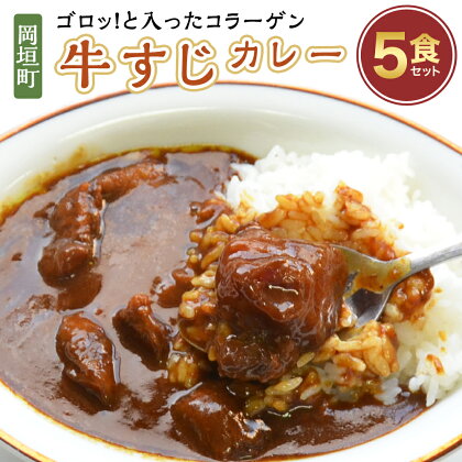 ゴロッ!と入ったコラーゲン牛すじカレー5食セット 200g×5食 合計1kg 国産和牛 牛スジ 牛肉 肉 カレー 中辛 コラーゲン レトルト 福岡県 岡垣町 送料無料