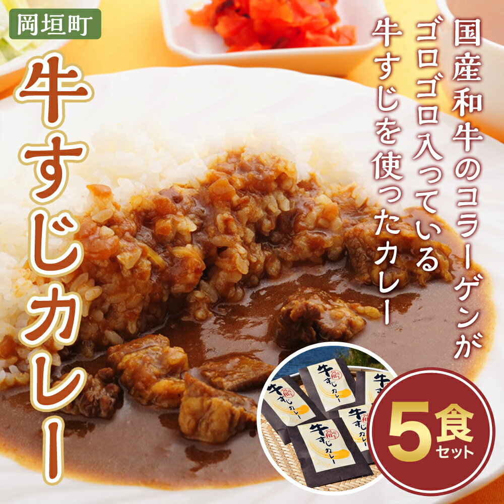 【ふるさと納税】ゴロッ!と入ったコラーゲン牛すじカレー5食セット 200g×5食 合計1kg 国産和牛 牛スジ 牛肉 肉 カレー 中辛 コラーゲン レトルト 福岡県 岡垣町 送料無料