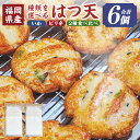 【ふるさと納税】<選べる種類>はつ天 いか×6・ピリ辛ミックス×6・食べ比べセット(いか×3・ピリ辛ミックス×3) 魚肉 えそ エソ イカ 天ぷら てんぷら ご...