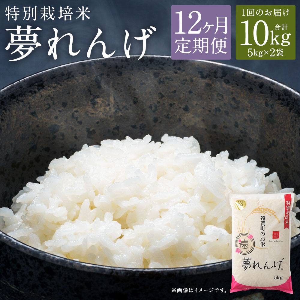 【12ヶ月定期便】特別栽培米 夢れんげ 10kg 5kg×2袋 12回配送 合計120kg 定期便 夢つくし 元気つくし 精米 白米 お米 米 福岡 遠賀町産 九州産 国産 送料無料【2024年10月下旬発送開始】