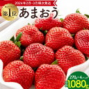 先行予約受付中! 数量限定 福岡県産 あまおう 合計1080g 270g×4パック いちご 苺 イチゴ フルーツ 果物 春 旬 福岡県産 九州 国産 送料無料